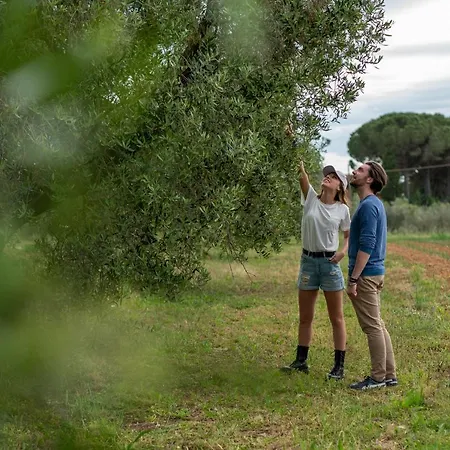 La Banchella Farma Scarlino